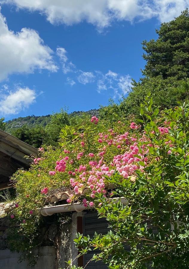 Les Merisiers B&B - Thorenc Andon Esterno foto